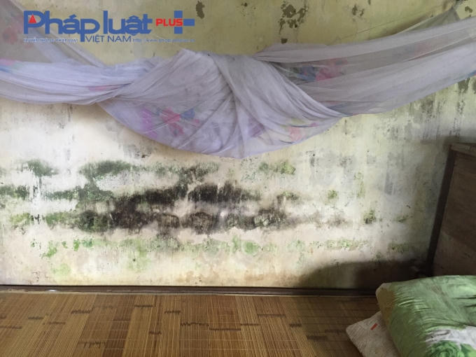 Sau khi người thân mất, sức khỏe bà cũng ngày một kém đi, hàng ngày bà cũng chỉ ở nhà chăn nuôi con lợn, con gà kiếm thêm ít đồng sống qua ngày đoạn tháng, có chăng cũng chỉ có ít tiền nhà Nước chu cấp cho người già cả neo đơn không nơi nương tựa.