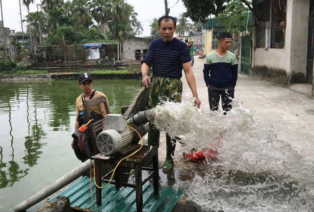 Người dân làng nuôi cá ông Công, ông Táo ở làng Tân Cổ, xã Quảng Tân, huyện Quảng Xương đã bắt đầu với công việc thu hoạch cá.