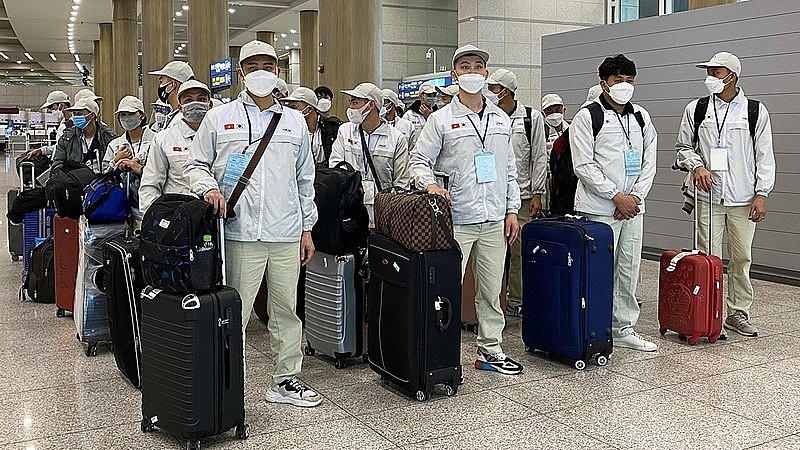 Hàng loạt doanh nghiệp bị xử phạt do vi phạm đưa lao động đi nước ngoài. (Hình minh hoạ)