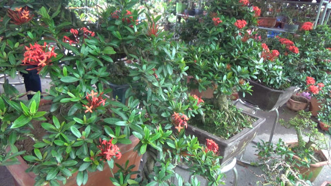 D&ograve;ng người tấp nập đổ về chợ &ldquo;mua may, b&aacute;n rủi&rdquo;