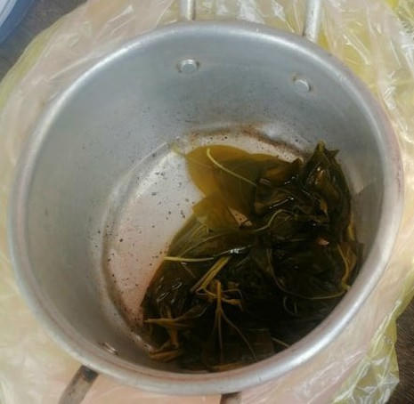 Nồi nước tại nhà anh T được cho là nước lá Ngón