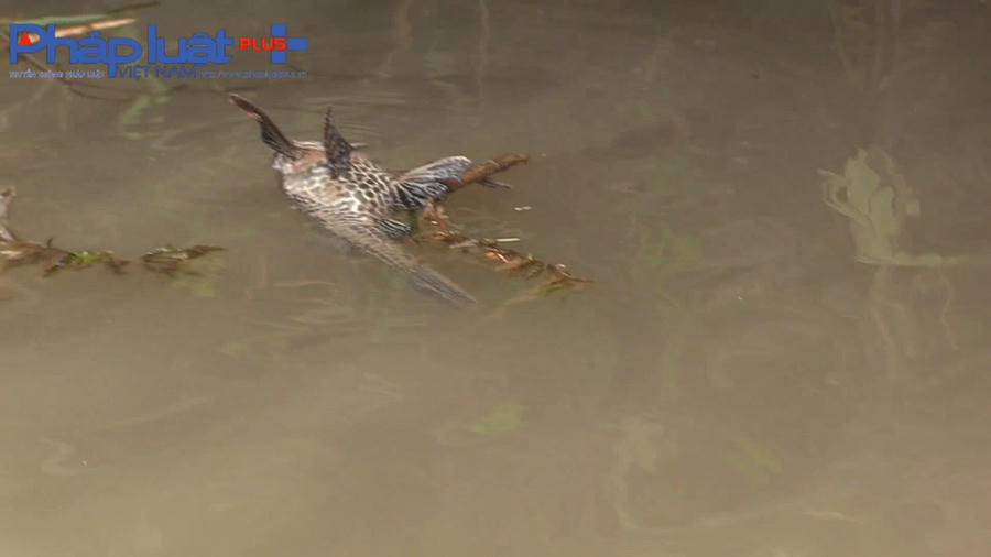 z3952392671240_97e50b0ca58ce56874ab7f5a452983e0