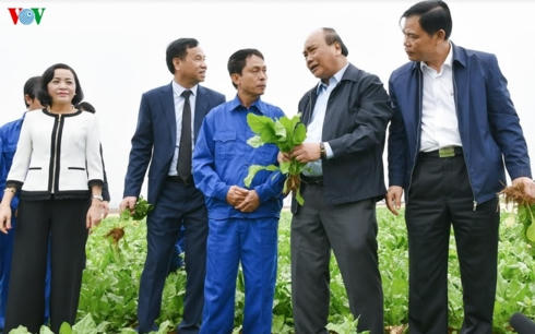 Thủ tướng động viên, thăm hỏi nông dân, người lao động tại nông trường.