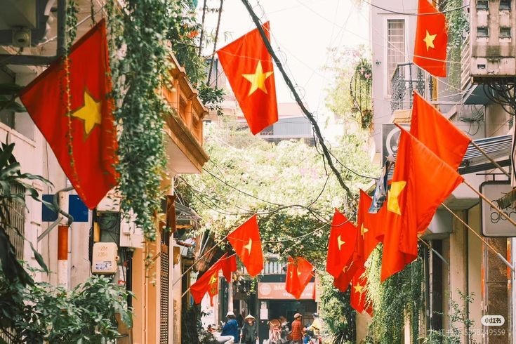 Người dân TP.HCM treo cờ Tổ quốc chào mừng Ngày bầu cử đại biểu Quốc hội khóa XVI và đại biểu HĐND các cấp nhiệm kỳ 2026 – 2031 - Ảnh minh họa