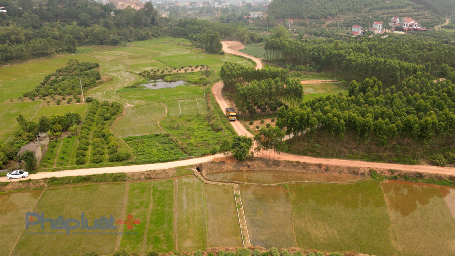 Đề xuất điều chỉnh đơn vị thẩm định phương án sử dụng tầng đất mặt đất trồng lúa tại dự thảo Nghị định quy định chi tiết về đất trồng lúa.