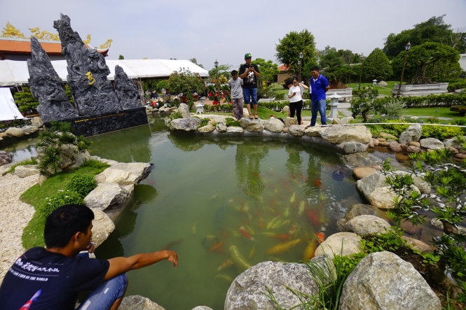 Một ao cá nhỏ trong không gian khu vực đền thờ tổ.