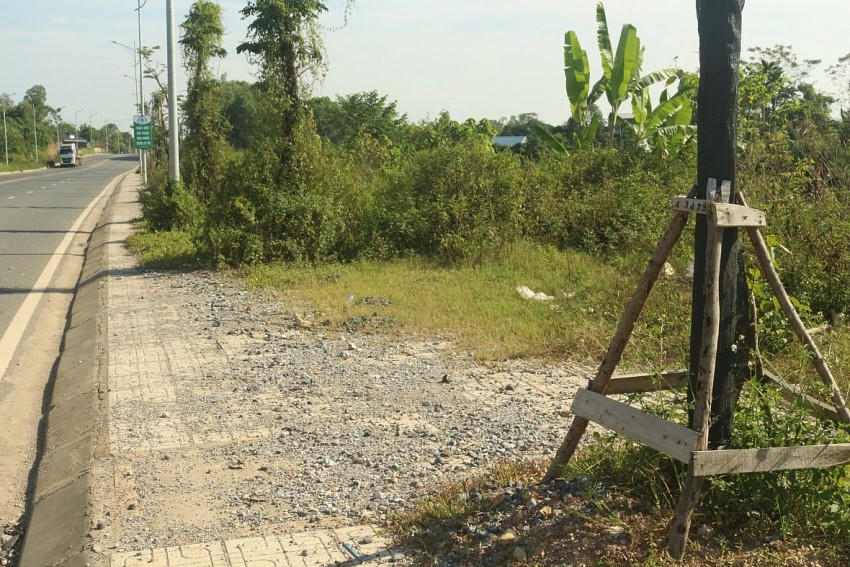 Cỏ mọc um tùm gây mất mỹ quan