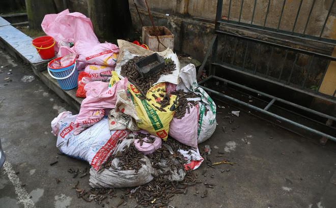 Bước đầu, ông Nguyễn Văn Tiến chủ nhà xảy ra vụ nổ khai nhận: Khoảng tháng 12/2016, có thu mua của một cán bộ tại Trung tâm xử lý bom mìn thuộc Bộ Tư lệnh Công binh (Bộ Quốc phòng) khoảng 7 tấn đầu đạn cũ loại 12 ly 7 và 14 ly 5 về để tháo dỡ phế liệu; số đầu đạn trên được tập kết tại khu vực sân vườn nhà ông Tiến và xảy ra vụ nổ. Hiện, Cơ quan An ninh điều tra Công an tỉnh đang tiếp tục phối hợp đấu tranh mở rộng để xử lý vụ án theo quy định của pháp luật.