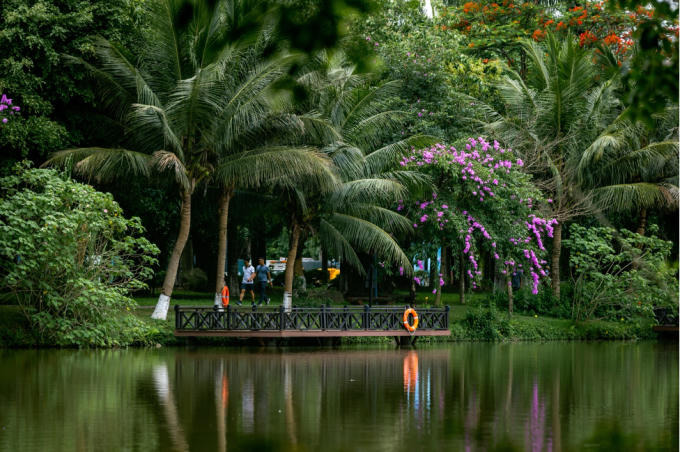 Mùa hè xanh ngắt ở Ecopark