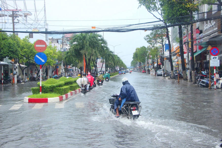 Bạc Liêu chủ động ứng phó, giảm thiểu thiệt hại do ảnh hưởng của triều cường trên địa bàn tỉnh.