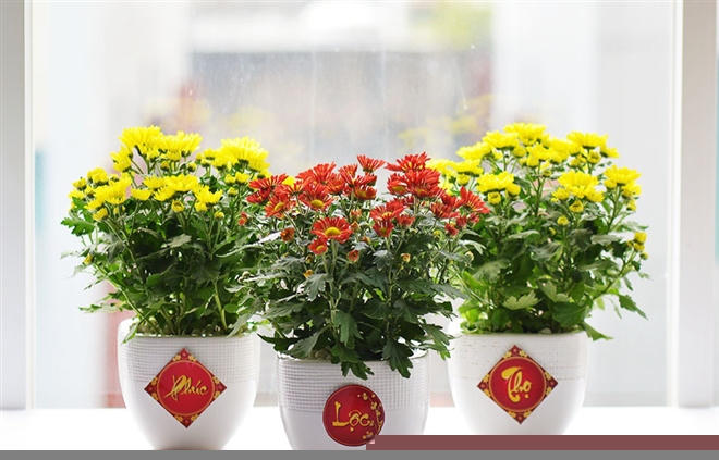 Sử dụng các loại hoa tươi cho ngôi nhà thêm tươi.