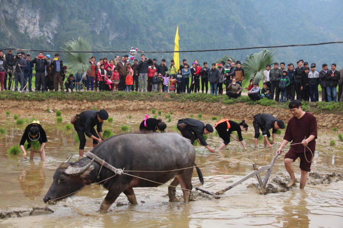 Lễ Tịch điền cầu cho mưa thuận gió hòa, mùa màng bội thu.