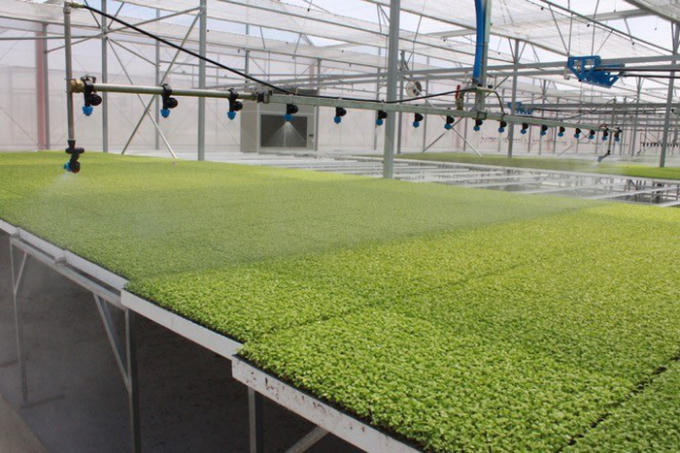 Hệ thống nông trường VinEco cung cấp rau-củ-quả sạch cho VinMart &amp; VinMart+.