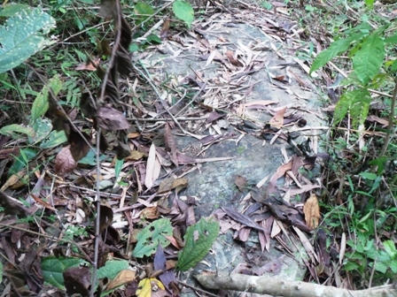 Bia đá bị đào lên nằm trên mặt đất.