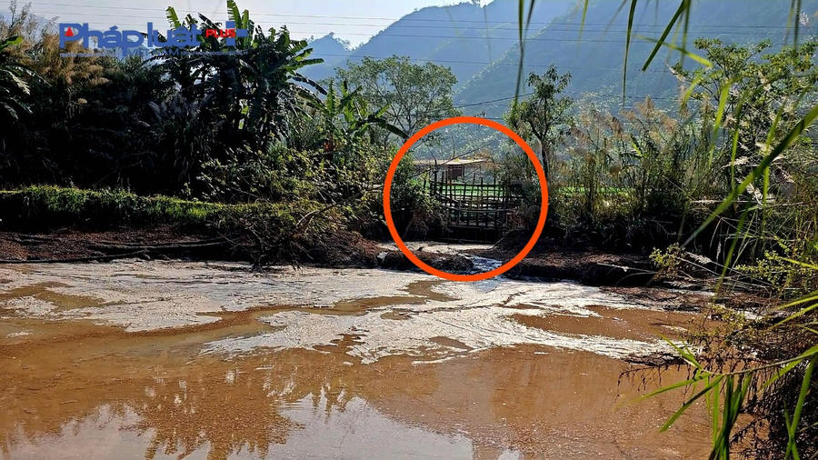 z5023491888746_b092352c6f9102b7125b7e09be61cdc2