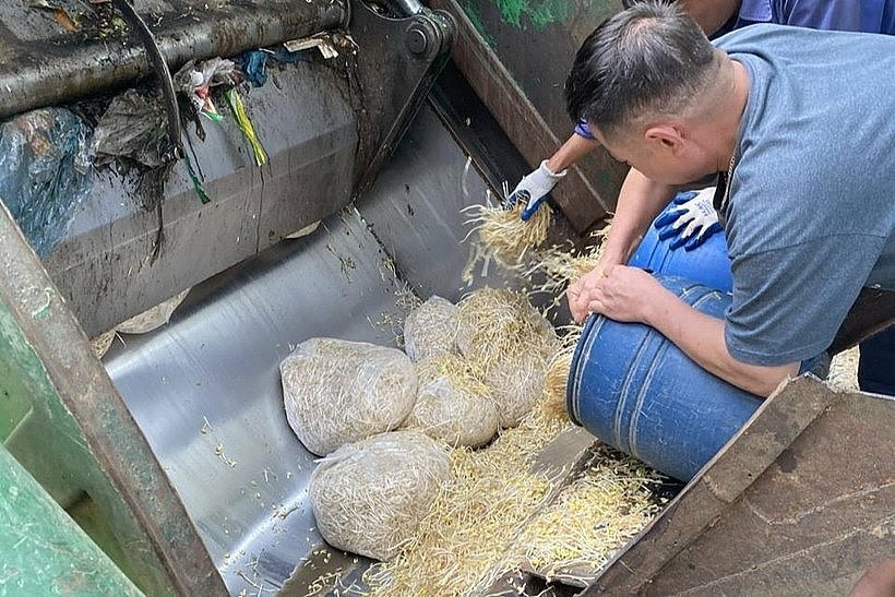 Lực lượng chức năng tiến hành tiêu hủy số giá đỗ đã thu giữ trước đó. (Ảnh: Công an Lào Cai).