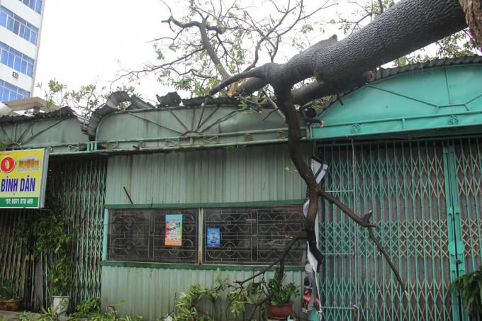 Nhiều c&acirc;y xanh ng&atilde; đ&egrave; v&agrave;o nh&agrave; người d&acirc;n.