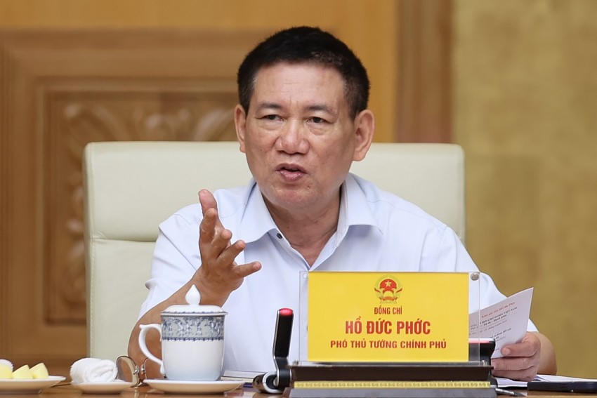 Phó thủ tướng Hồ Đức Phớc phát biểu tại phiên họp.