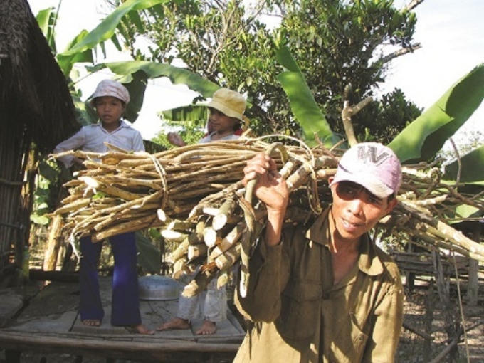 Một người tại yên Bái đã tử vong do uống nước cây rừng. (Ảnh minh họa)