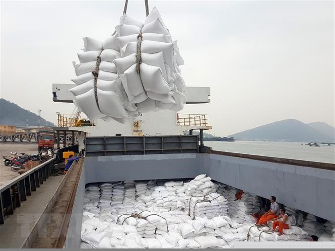 Xuất cấp không thu tiền hơn 4 nghìn tấn gạo cho 3 tỉnh phía nam gặp khó khăn do dịch COVID-19. Ảnh minh họa.