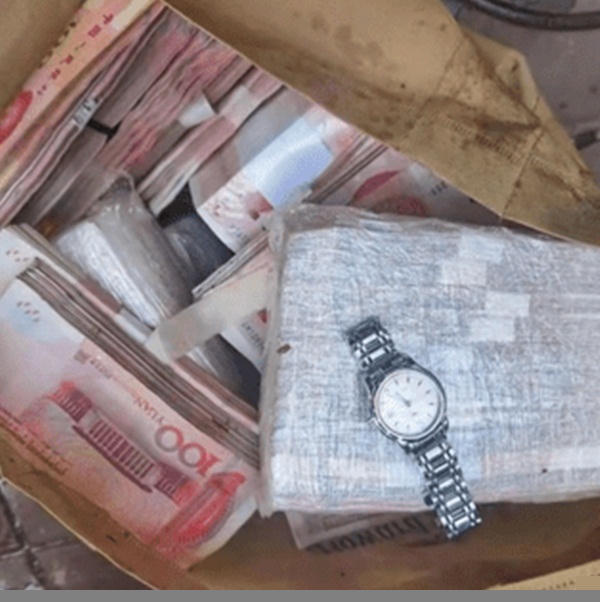 Số tiền lớn và chiếc đồng hồ đắt tiền bên trong túi.
