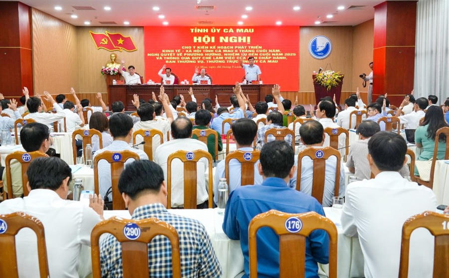 Các Ủy viên BCH Đảng bộ tỉnh Cà Mau biểu quyết thông qua Nghị quyết Hội nghị Ban Chấp hành Đảng bộ tỉnh - khóa XVI (lần thứ nhất) - Ảnh: Bích Ngọc.