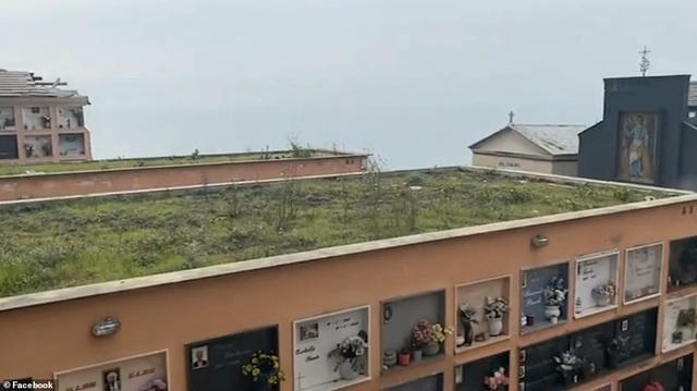 Quang cảnh tại hiện trường