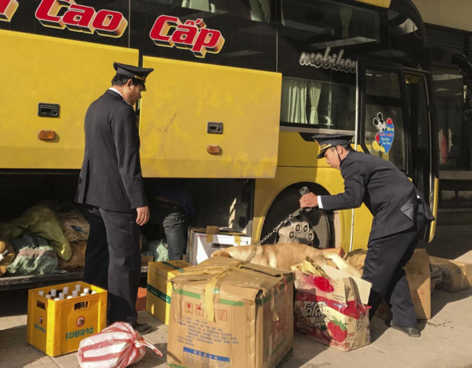 Đội chó nghiệp vụ thường xuyên tham gia tuần tra, kiểm soát hàng hóa khu vực cửa khẩu quốc tế Cha Lo.