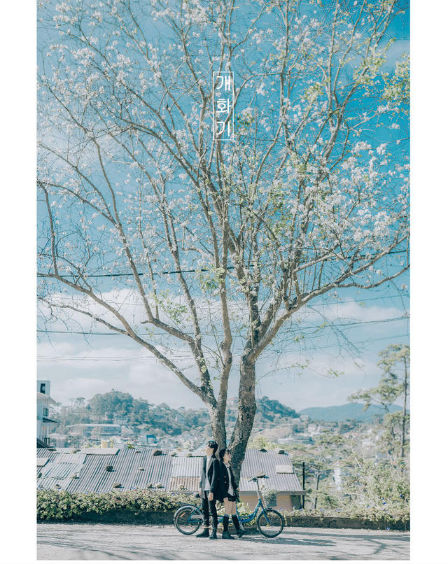 Ngỡ ng&agrave;ng bộ ảnh tại Đ&agrave; Lạt l&atilde;ng mạn tựa phim H&agrave;n