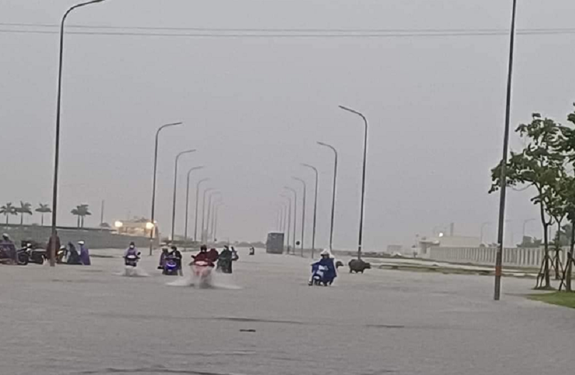 Mưa lớn khiến nhiều tuyến đường ngập các phương tiện xe máy không thể di chuyển.