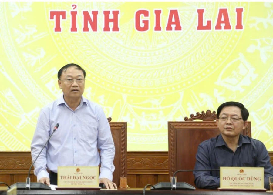 Bí thư Tỉnh ủy Gia Lai - ông Thái Đại Ngọc phát biểu tại buổi làm việc
