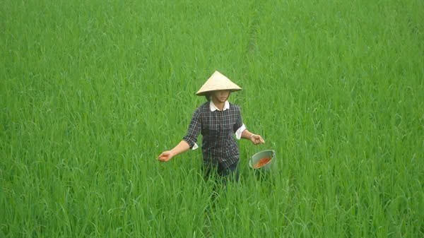 (ảnh minh hoạ).