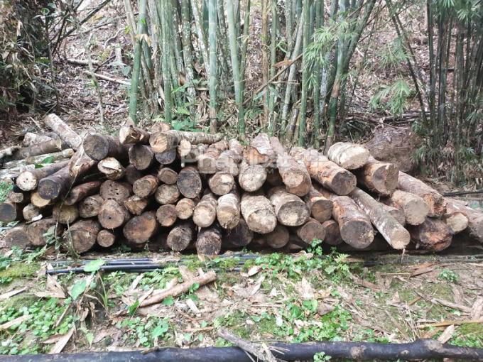 da95d1f8-e774-421b-bb1d-0e79cc891976