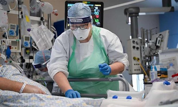 Điều trị cho bệnh nhân COVID-19 tại bệnh viện Hoàng gia Papworth ở Cambridgeshire (Anh). (Ảnh: Getty Images/TTXVN)