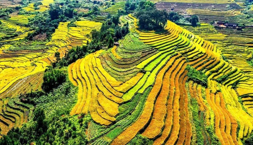 Miễn thuế đất nông nghiệp đến 2030.