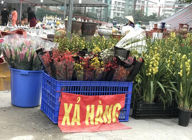 Anh266.