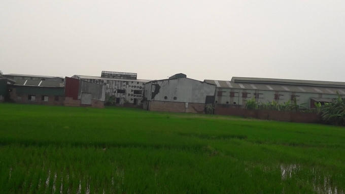 Hàng loạt nhà xưởng ngang nhiên tồn tại trên đất nông nghiệp trong một thời gian dài.