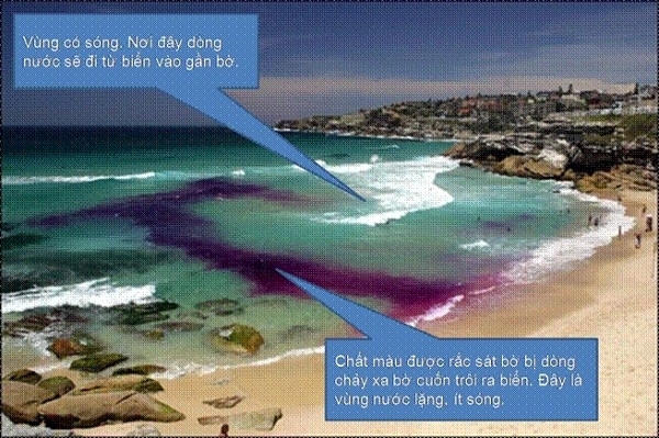 Dòng chảy xa bờ trên biển được nhận biết bằng cách đổ bột màu.