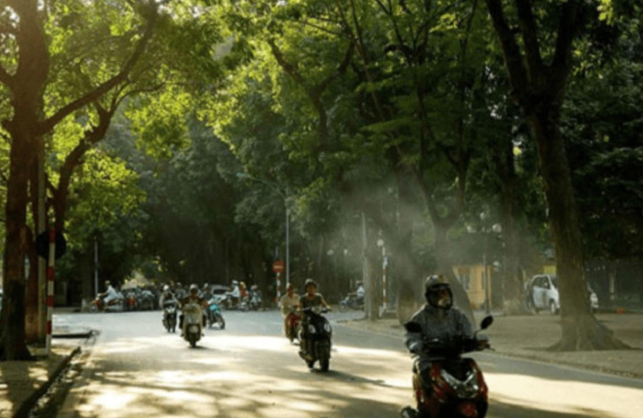 Thời tiết hôm nay 19/2: Bắc Bộ và Bắc Trung Bộ có sương mù nhẹ, trưa chiều nắng