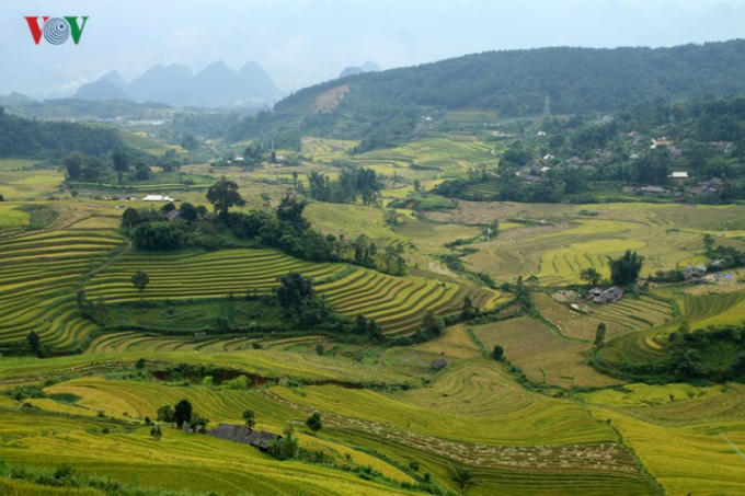 Hoàng Liên Sơn - dãy núi hùng vĩ nơi đất trời Tây Bắc không chỉ được biết đến là nóc nhà Đông Dương, mà còn nổi danh bởi vẻ đẹp hùng vĩ của các triền ruộng bậc thang hút hồn du khách.