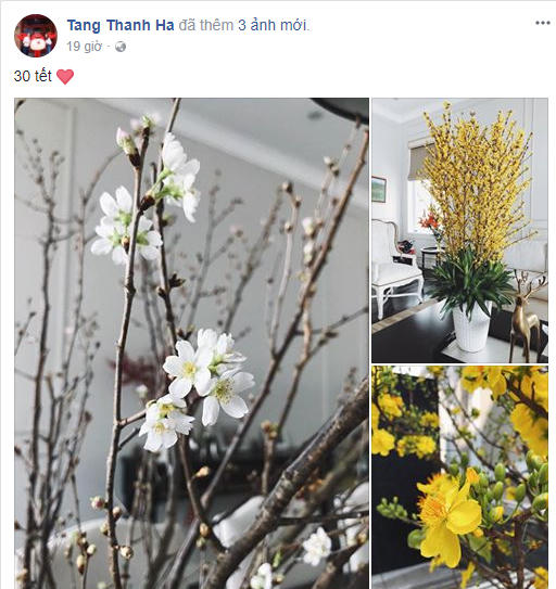 Tăng Thanh Hà khoe không gian Tết tràn ngập hương sắc hoa mai.