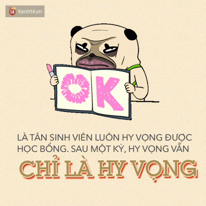 Có thể bạn chưa biết: Học xong 4 năm đại học, mơ ước vĩ đại nhất là được ra trường đúng hạn.