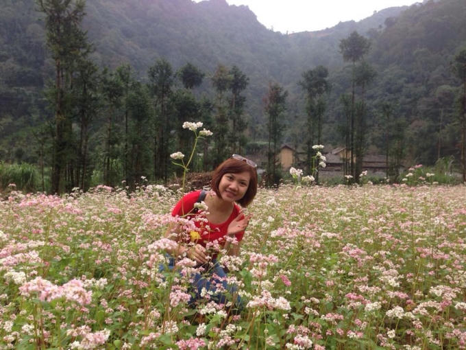 Du khách chụp ảnh bên những vườn hoa tam giác mạch nở rộ