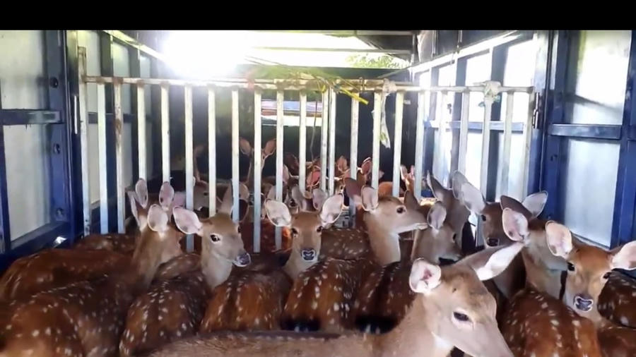 received_324975780353724.