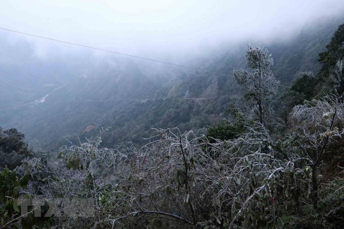Băng giá phủ kín đoạn đèo Ô Quy Hồ thuộc địa phận tỉnh Lai Châu đi Sa Pa. (Ảnh: Nguyễn Oanh/TTXVN)