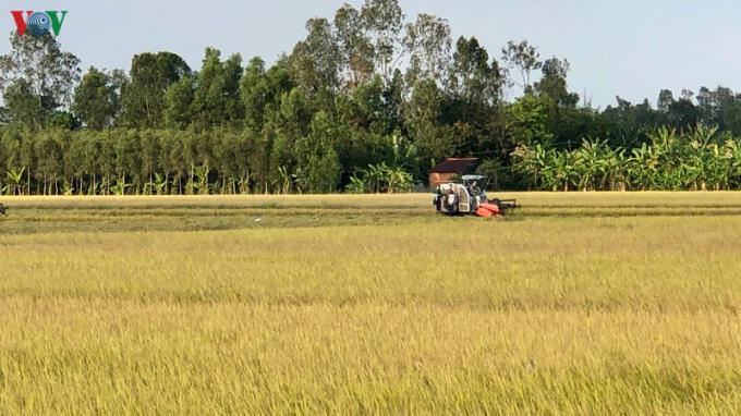 Anh930.
