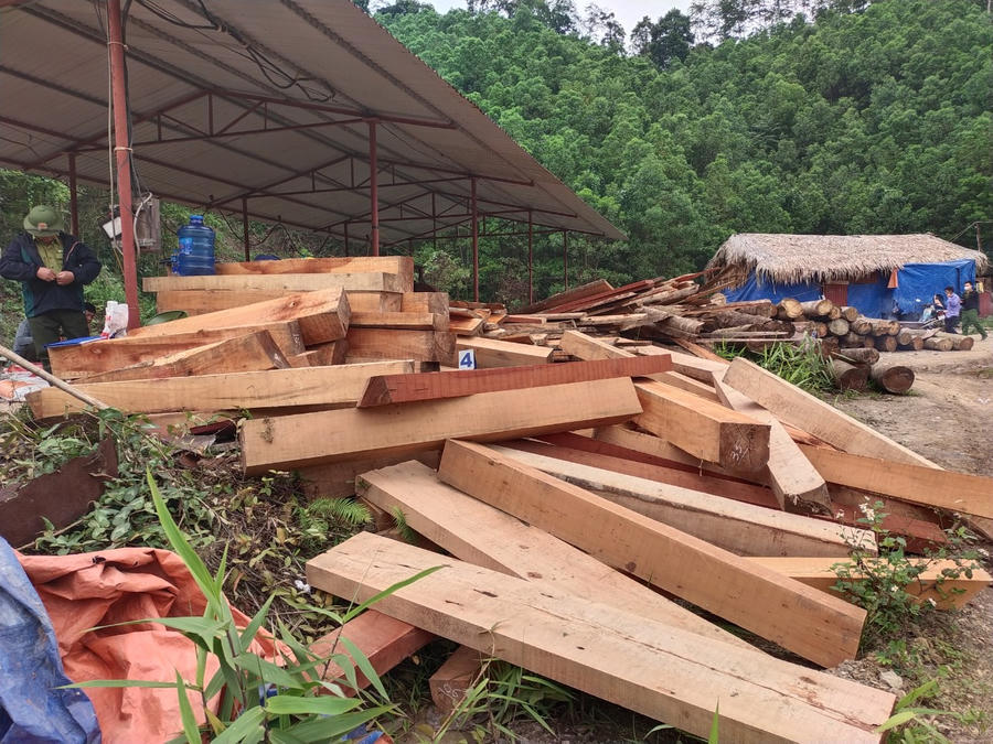 z4251797554313_fbbfe9d5f1e8c0851874cb765f305ef6