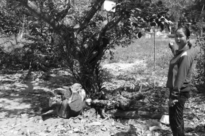 Bà Rợ chỉ mảnh đất đang tranh chấp với em trai ruột.