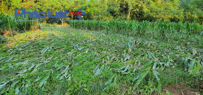 236864713_1622982787895201_4539844268583571104_n