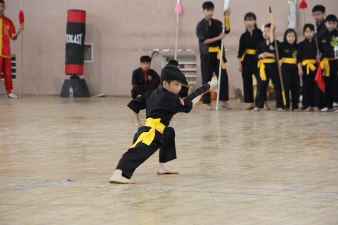 Ngay sau lễ khai mạc, rất nhiều tiết mục võ thuật, những màn thi đấu, so tài đỉnh cao đã được các vận động viên, môn sinh từ các đơn vị về tham dự biểu diễn.